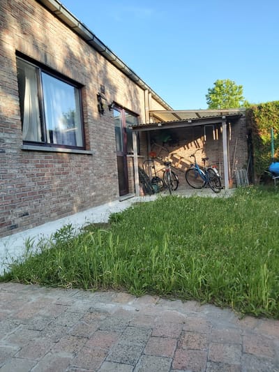 The image depicts the rear of a brick building with a window and a covered outdoor storage area. Two bicycles are parked under the shelter, along with gardening tools such as a shovel and a rake. The ground is covered with cobblestones and a patch of overgrown grass. The scene appears to be a residential backyard, likely in Dendermonde, Belgium, given the architectural style and vegetation. The sky is clear and blue, suggesting a sunny day.