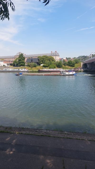 A lengthy barge, painted red and green, moves rightward through a wide, tranquil body of water, leaving a wake behind it. On the barge, a small blue and white vessel is attached to the rear. The water is a clear, shimmering blue-green, reflecting the sky above. To the left of the frame, a patch of dark green leaves hangs from the upper corner, casting shadows on the water's surface.

In the background, a row of buildings lines the distant bank. The most prominent is a large, pale yellow building with a grey roof, featuring many windows and decorative architectural elements. Adjacent to it, a darker, more modern building with a flat roof is visible, surrounded by lush green trees. Further to the right, a large bridge, supported by concrete pillars, spans the water. The sky above is a bright, clear blue with a few wispy white clouds. The scene appears to be a waterfront in Namur, Belgium, likely along the Meuse River, given the architecture and the presence of such barges. The overall atmosphere is peaceful and sunny, suggesting a pleasant day.