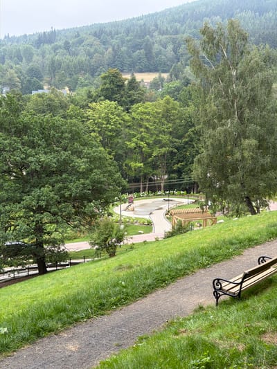 The image depicts a park in Świeradów-Zdrój, Poland, characterized by a lush, green environment and rolling hills. In the foreground, a gravel path leads the eye towards a dark-colored park bench with ornate metal legs and a light-colored wooden seat. The path is bordered by a grassy slope, with a section of it covered by a black grid-like material. Further into the scene, a paved walkway with a light-colored brick pattern winds through the park. This walkway leads to a circular area that appears to be a fountain or a decorative water feature, surrounded by white flowers. Adjacent to the walkway, a wooden pergola provides shaded seating. The park is densely populated with various trees, including a large oak tree on the left and a tall birch tree on the right, with their branches reaching towards the overcast sky. In the background, the landscape transitions into a hillside covered with dense forestation, further accentuating the natural setting. The overall atmosphere is serene and tranquil, suggestive of a public recreational space. No individuals are visible in the scene.