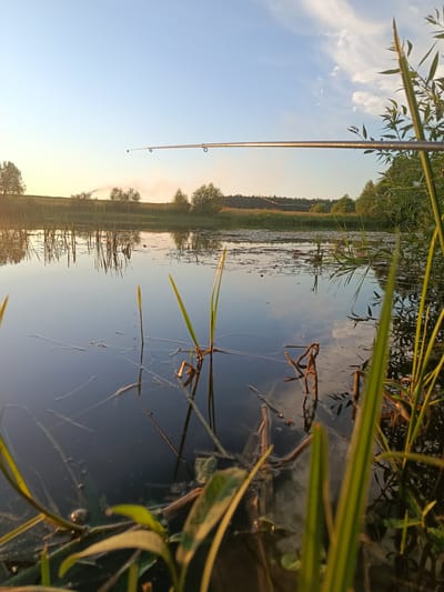 The image depicts a serene natural landscape at what appears to be either sunrise or sunset. The foreground is dominated by the calm surface of a body of water, likely a lake or pond, reflecting the sky and surrounding vegetation. Several reeds and aquatic plants are visible, some emerging from the water and others submerged. In the distance, a gentle slope covered in trees forms the horizon. A fishing rod extends across the upper part of the frame, with its line extending into the water. The sky is a soft blue, with wispy white clouds scattered across it, illuminated by the warm glow of the setting or rising sun. There is a plume of smoke visible in the far distance, suggesting a controlled burn or a distant fire. The overall atmosphere is peaceful and tranquil. The location is identified as Каранёўскі сельскі Савет, Belarus. There are no people or animals visible in the image.