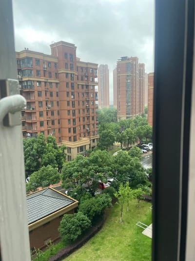 The image is a view from a window, looking out at an urban landscape in Wuhan, China, located at coordinates 30.662 latitude and 114.245 longitude. The scene features a complex of tall, brick residential buildings, partially obscured by foliage and a grey overcast sky. The foreground consists of a lush green lawn and a series of trees, with a small brick building in the lower left corner of the frame. A few vehicles are visible in the parking lot, and there are no people present. The view is framed by a window with black trim, partially obscuring the scene on the right side.