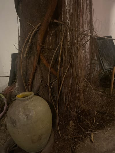 The image shows a cluttered scene in what appears to be an outdoor or semi-outdoor space, potentially located in Baan Don Sai, Thailand (as specified). Predominantly earth-toned, the scene is filled with a jumble of dried vines and branches scattered across the foreground. A large, aged ceramic pot, light green/grey in color and seemingly weathered, rests on the lower right. Behind the tangle of vines, a dark-colored object resembling a storage bin or container is partially visible. The overall impression is one of disarray, suggesting a neglected or abandoned area. The background is light in color and out of focus.