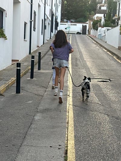 This image captures an uphill asphalt street in Calella De Palafrugell, Spain. A person with long dark hair, wearing a purple t-shirt, light blue ripped denim shorts, white striped socks, and white checkered slip-on shoes, walks uphill towards the top of the frame. This individual holds a black leash connected to a small to medium-sized black, white, and gray mottled dog walking directly in front and slightly to the right of the person. A second, smaller individual is partially visible, walking behind the primary person.
The street features a single unbroken yellow line down its center. On the left, a concrete curb separates the road from a narrow sidewalk where three black hexagonal bollards with silver tops are installed. A row of white stucco buildings with dark window shutters lines the left side of the street. On the right side, further up the incline, additional white residential buildings are visible among green foliage. A white panel van is parked on the right, beneath a "P" parking sign. The scene is illuminated by low-angle natural light, casting soft shadows.