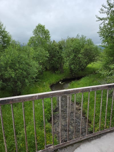 A rustic metal bridge railing with vertical bars overlooks a narrow, shallow stream flowing through a lush, green, grassy field dotted with small yellow flowers. Dense, leafy green trees and bushes line the banks of the stream, with a slightly overcast, muted sky visible above. The scene appears to be in a natural, undeveloped area, possibly a park or rural landscape. The image is taken from a slightly elevated perspective, looking down and across the stream.