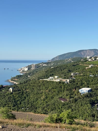 This is a high-angle, long shot of a coastal hillside with a clear blue sky above. The scene depicts a resort town nestled along a forested hillside overlooking a calm, blue sea. Buildings of various sizes and styles, including hotels and private residences, are scattered across the slopes and along the coastline. Green trees, predominantly cypress trees, densely cover the hillside. In the foreground, a terraced area with dry vegetation and what appears to be a vineyard is visible. A large, modern building with blue and white accents is situated higher up on the hill. The overall impression is one of a sunny, peaceful, and developed coastal landscape.