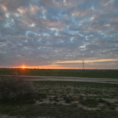 This image depicts a wide-angle landscape view captured at either sunrise or sunset over a rural area in Ben Guerir, Morocco. The sky occupies the upper two-thirds of the frame, filled with a dense pattern of grey and blue altocumulus clouds, exhibiting subtle orange and pink hues near the horizon. The sun, a brilliant orange orb, is situated low on the left side of the distant horizon, emitting a distinct vertical light ray. The horizon line is flat, showcasing an expansive stretch of land. Several dark, slender utility poles and power transmission towers are visible as silhouettes against the bright sky along the distant horizon, with one prominent lattice tower structure located in the mid-ground towards the right. A wide strip of dark green cultivated land or fields runs horizontally across the mid-ground. A lighter, irregular dirt path or track separates the mid-ground fields from the immediate foreground. The foreground consists of uneven terrain covered with sparse, dark green vegetation and patches of lighter, possibly dry, earth. No human figures or specific actions are present in the scene.
