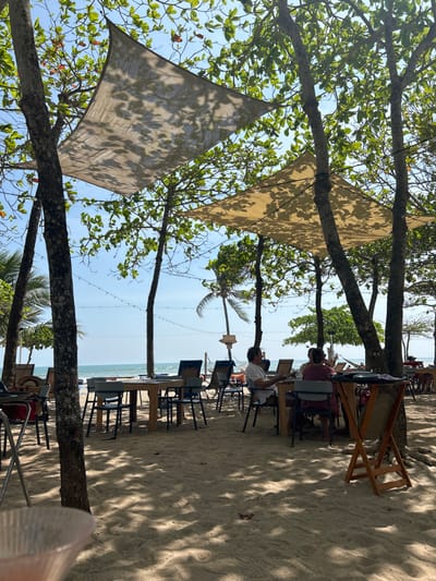 The scene is a beachside cafe in Santa Teresa, Costa Rica, located at coordinates 9.635 latitude and -85.161 longitude. The cafe is situated on a sandy beach under the shade of large, leafy trees. Several patrons sit at wooden tables and chairs, enjoying the coastal view and the shade. They are engaging in conversation and seemingly relaxing. The patrons are a mix of men and women, casually dressed for the beach environment. Several trees provide shade, and a large canopy provides additional cover. The cafe is decorated with simple wooden furniture and lighting, adding to the relaxed beachside ambiance. The background features a clear blue sky and an expansive, calm ocean, adding to the peaceful atmosphere. The presence of sand, sea, and lush vegetation further emphasizes the cafe's beachside location.