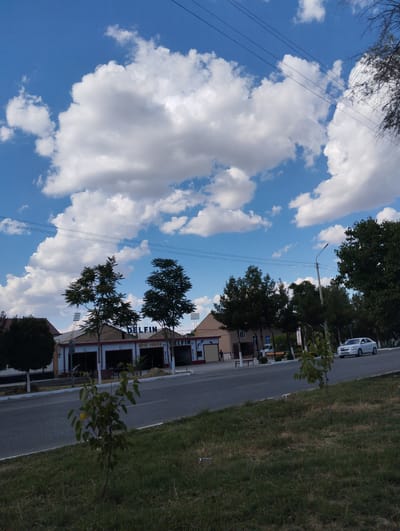 The image captures a street scene in Kiyat, Uzbekistan, under a partly cloudy blue sky. In the foreground, a grassy slope with a young tree is visible, leading down to a paved road. Across the road, a low-rise commercial building with a red and white facade is present, featuring the name "DELFIN" in large blue letters. Several businesses appear to be housed within this building, indicated by the various entrances and signage. Trees line the area in front of the building, and a light pole stands tall. A white car is driving on the road in front of the commercial structure. The overall impression is one of a typical day in a town, with everyday activities unfolding.