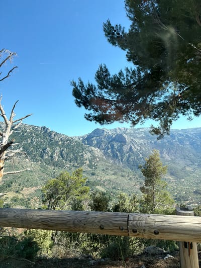 The scene is a view from a high vantage point in Fornalutx, Spain. A mountain range covered in sparse green vegetation dominates the background. In the foreground, a wooden post, part of a railing, is visible on the right side. Branches of a pine tree obscure the left side of the image, framing the sky and the mountain. A contrail is visible in the clear blue sky. In the foreground, there are fallen tree branches.