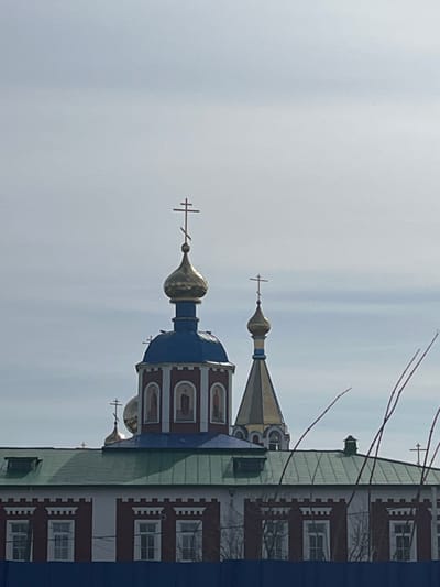 The image depicts the Church of St. Nicholas the Wonderworker in Nor'ya, Russia. Two onion domes with crosses are visible against a pale sky. The larger dome is blue with gold accents, while the smaller dome is primarily gold. A section of the church building is visible on the right side of the image, featuring multiple windows and a red and white facade. Branches of trees are visible in the upper right corner. The perspective is from a low angle, looking up at the church.