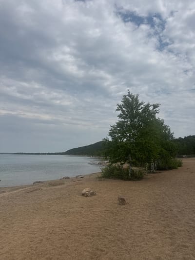 The image shows a natural landscape scene with a body of water, a sandy shore, and vegetation under a cloudy sky. The water is calm and appears to be a lake or large river, with a distant tree-covered hillside forming the far bank. The shore is composed of light-colored sand with scattered rocks and pebbles. On the right side of the shore, several trees, some with white bark, are growing amongst dense green bushes. The sky is overcast with gray and white clouds, suggesting a possibility of rain or an overcast day. There are no people visible in the image. The scene depicts a serene, natural environment.