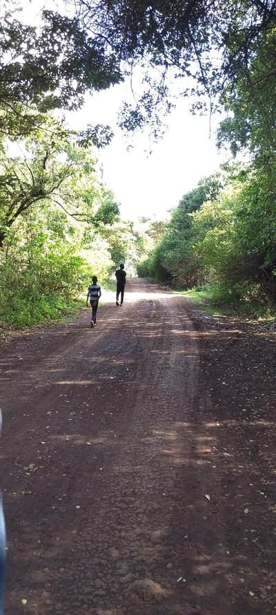 The image displays a rural dirt road in Kuku ward, Kenya, bordered on both sides by dense green vegetation and trees. The road surface is unpaved, dark brown earth with visible tire tracks and scattered dry leaves. Two individuals are walking away from the viewer along the center of the road. The person in the foreground, positioned to the left, wears a horizontally striped shirt (light and dark blue/black) and dark trousers. The second person, further down the road, wears an entirely dark outfit, likely a dark shirt and dark trousers. Bright overhead sunlight penetrates the tree canopy, creating dappled shadows across the road. The overall environment appears natural and undeveloped. No direct interaction between the two individuals is evident.