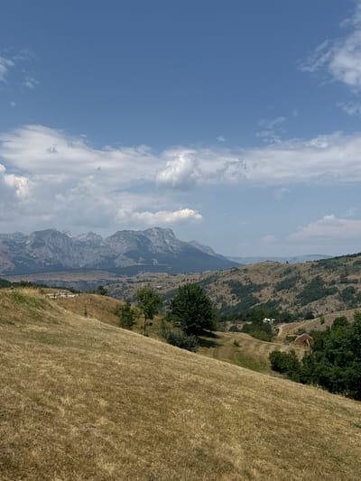 The image captures a panoramic view of a mountainous landscape in the vicinity of Pišče, Montenegro, under a partly cloudy blue sky. The foreground features a dry, golden-brown grassy slope, indicative of summer or a dry season, with scattered green tufts and some wildflowers. The middle ground reveals rolling hills covered in dry grass and patches of dark green trees. A dirt road winds through the landscape, leading towards a small cluster of buildings, one of which appears to be a hay barn with a thatched roof. In the background, a majestic mountain range with rugged peaks and steep slopes dominates the horizon, its grey rock faces contrasting with the softer hues of the hills. The overall scene depicts a rural, natural environment with signs of human habitation integrated into the wilderness.