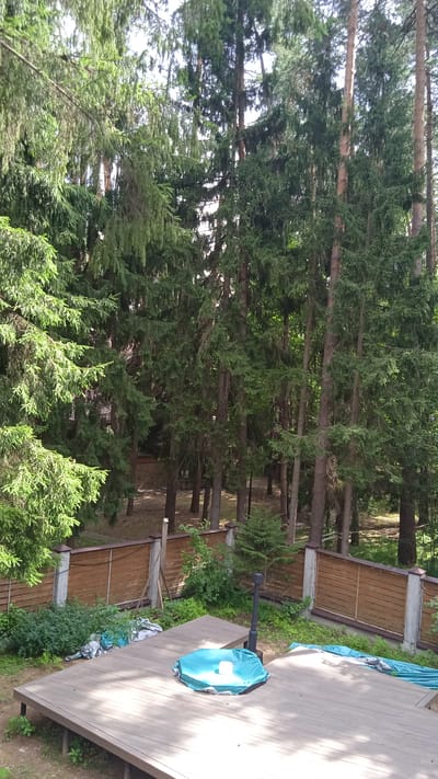 The image depicts a wooden deck situated in a wooded area, likely in Сосны, Russia, given the presence of numerous pine trees. The deck is partially covered with a blue tarp, and a black pole-like structure stands near the center. In the background, a wooden fence runs along the edge of the property, separating it from the forest. Lush green foliage and scattered debris are visible on the ground near the deck and behind the fence. The overall impression is one of an outdoor recreational space integrated into a natural, forested environment.