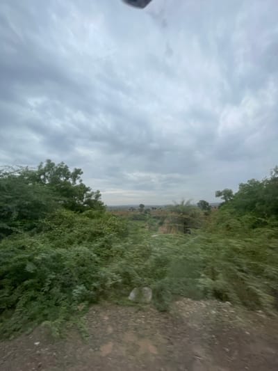 A slightly blurry, vertical, wide shot captures a natural landscape under a heavily overcast sky. The foreground is dominated by dense, green foliage and shrubbery, with a dirt path visible at the bottom. In the middle ground, more trees and vegetation are present, interspersed with patches of dry, brown earth. The background shows a distant horizon with a hazy, flat landscape, suggesting a rural or semi-rural environment. The sky is filled with thick, gray clouds, giving the scene a subdued and possibly damp atmosphere. The image is consistent with the outskirts of Bethamcherla, India, where such natural vegetation and terrain are common. No people or specific objects are clearly discernible beyond the natural elements.