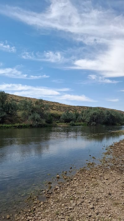 The image depicts a serene riverbank scene under a bright, partly cloudy sky. The river flows gently, reflecting the blue sky and scattered white clouds. On the left bank, a lush green vegetation of trees and bushes grows along the river, leading up to a gently sloping, arid hillside covered with sparse greenery and small shrubs. The right bank of the river is composed of a stony shore with pebbles and some dry grass. The overall environment suggests a natural, undeveloped area. There are no people or animals visible in the image. The scene appears to be a peaceful landscape, likely in a rural or semi-rural setting. Based on the provided information, the location is the city of Boraldai, Kazakhstan.