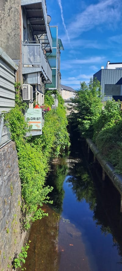 This is a vertical, slightly angled, eye-level shot taken on a sunny day in Castlebar, Ireland, featuring a canal or river flowing beside a building complex. The sky is a vibrant blue with wispy white clouds, suggesting good weather.
On the left side of the image, modern building architecture is visible, characterized by metal walkways, stairs, and glass panels, suggesting a commercial or residential development. An air conditioning unit is mounted on the building's exterior, and some metallic ventilation systems are also present.
To the right of the building, lush green foliage covers the canal bank, with a sign for "Eucalyptus Florist" partially visible amidst the greenery. The sign has a stylized font and depicts a bird of paradise flower. Colorful flowers are also visible near the sign.
The canal itself is dark and reflects the surrounding trees and sky, creating a mirror-like effect. A large pipe runs horizontally above the water, likely part of the urban infrastructure. The water's surface is calm, allowing for clear reflections. The canal bed is visible in shallower areas, showing rocks and debris.
The scene conveys a sense of urban life integrated with nature, with the waterway and abundant greenery providing a natural contrast to the modern architecture. The bright sunlight indicates it's daytime, likely late morning or afternoon.