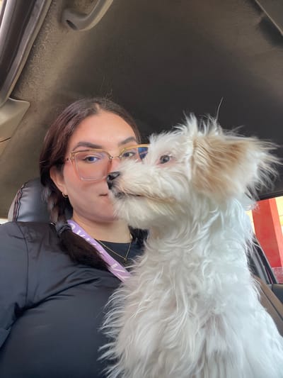 A young woman with dark hair and glasses is in a car, with a small white fluffy dog on her shoulder. The dog's face is close to the woman's, and it appears to be nuzzling her cheek. The woman is wearing a black jacket and a necklace. The setting is inside a car, with the interior visible in the background. The photo seems to be taken during the daytime. The woman has a calm expression, and the dog appears playful. There are no visible text elements in the image.