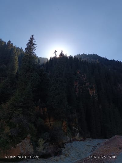 The image depicts a sunlit mountain slope covered in dense coniferous forest. The sun is low in the sky, partially obscured by trees, casting long shadows and creating a dramatic backlight effect. A riverbed with rocky, reddish-brown terrain is visible in the foreground, leading towards the forested mountainside. The sky is a clear, pale blue. Watermarks indicating "REDMI NOTE 11 PRO" and "17.07.2026 17:01" are present in the lower corners of the image. The location is identified as Grigor'yevka, Kyrgyzstan.