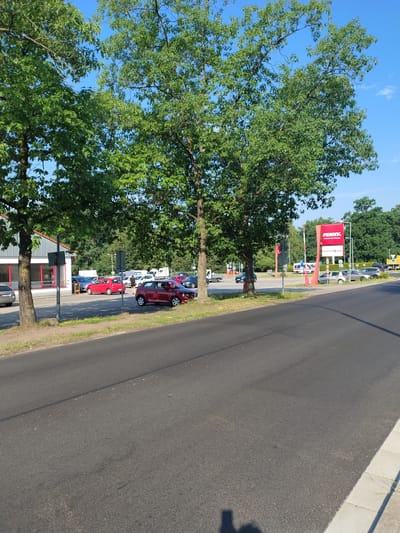 In Hluboká nad Vltavou, Czechia, a sunny day presents a scene dominated by mature trees with full green canopies framing a parking lot and a roadway. On the left, a building with a white facade and large red-framed windows is visible, possibly a commercial establishment. A parking lot in front of the building contains several cars, including a red hatchback and a silver sedan parked near the entrance. Further into the parking lot, a PENNY Market sign stands tall, a bright red rectangular structure with white lettering, indicating a supermarket. More vehicles are parked in the vicinity of the PENNY Market. A black car is parked on the right side of the roadway, partially obscured by a tree. The roadway itself is asphalt, with a clear lane marking. The sky is a vibrant blue with a few scattered clouds. The overall environment suggests a commercial area on the outskirts of town, with ample parking and green spaces.