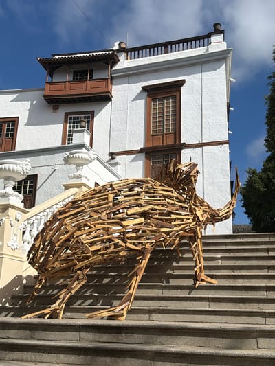 An outdoor, eye-level, medium shot captures a large, abstract sculpture of a rhinoceros beetle on a set of stone stairs. The sculpture is constructed from numerous pieces of rough, unpainted wood, giving it a rustic and fragmented appearance. The beetle sculpture is positioned in the center of the frame, its body and legs clearly visible against the background.
Behind the sculpture, a white building with traditional wooden balconies and windows stands under a bright blue sky with scattered clouds. The building's architecture suggests a historical or colonial style. The stairs themselves are made of stone with visible lines between the individual steps, and they are bathed in sunlight, casting distinct shadows from the sculpture. The lighting indicates it is daytime, likely late morning or early afternoon.
This scene is located in the city of Icod De Los Vinos, Spain, specifically in front of the Museo de Arte de la Naturaleza. The museum is known for its unique exhibits and its location contributes to the picturesque setting of the sculpture. There are no people visible in the image. The environment is urban, with the building and stairs being prominent elements of the cityscape. The focus is on the juxtaposition of the naturalistic sculpture and the man-made architectural elements.
