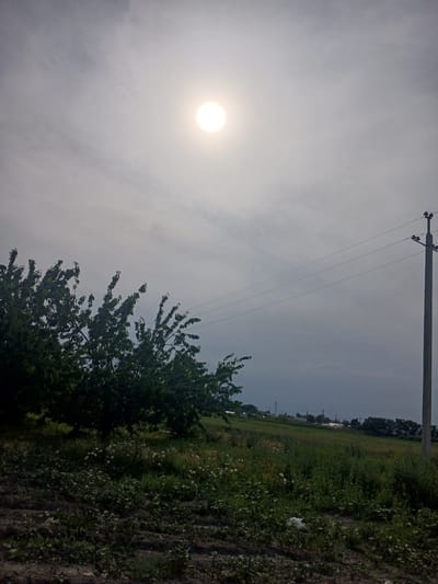 This is an outdoor vertical shot of a rural landscape under a hazy sky with the sun visible as a bright, out-of-focus disc. The foreground shows dark, tilled earth with sparse green vegetation and some white dandelion-like seed heads. To the left, a dense, dark green tree with visible leaves occupies the mid-ground. Beyond the tree, a slightly elevated grassy field stretches towards the background. The background features a distant horizon with a line of trees and some low-lying structures, possibly buildings. A tall, concrete utility pole with power lines extending to the left stands on the right side of the image. The overall impression is that of a somewhat overcast or hazy day in a rural area, potentially on the outskirts of Khoronq, Armenia, given the presence of agricultural land and utility infrastructure. There are no people or animals visible in the image.