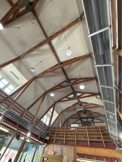 The image shows the interior ceiling of a building, likely a commercial or industrial space. The ceiling features a complex network of wooden beams and supports, with white panels filling the spaces between the beams. Lighting fixtures, including white circular lights, are suspended from the ceiling at various points. Above part of the ceiling is a series of gray wire mesh panels. Adjacent to the ceiling structure, on the right, is an area with a wooden wall, metal support beams, and painted mural. Window is placed at a corner. The building appears to be located in Powell, United States of America.