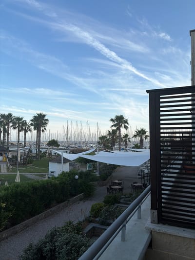The image presents a panoramic view from an elevated perspective, likely a balcony, overlooking a marina and a resort-like landscape in Santo Stefano al Mare, Italy. The upper portion of the frame is dominated by a clear, light blue sky featuring scattered wispy white cirrus clouds and a prominent, elongated contrail extending diagonally from the upper left towards the mid-right.

In the immediate foreground, to the right, a gray metal balcony railing is visible, supported by a light-colored stone structure. A dark brown slatted wooden screen or partition partially obscures the right side of the view.

Below the balcony, the midground reveals a multi-level landscaped area. Dark green, dense bushes, possibly oleander, line a lower gravel path. Various smaller plants and shrubs are interspersed throughout the green spaces. White tensile fabric canopies provide shade over outdoor dining areas equipped with round tables and chairs. A small, white, hut-like structure with a thatched roof stands in the grassed area. Further to the left, more grass, a lighter path, and a few folded beige umbrellas are discernible.

A prominent line of tall palm trees with dark green fronds and slender trunks stands beyond the landscaped area, forming a natural boundary. Behind these palm trees, a marina is visible, densely packed with numerous sailboats. The intricate pattern of their tall masts, largely devoid of sails, extends across the horizon, indicating a substantial number of vessels moored in the harbor. The light suggests daytime conditions, potentially early morning or late afternoon, given the softness of the illumination. No individuals are visible within the scene.