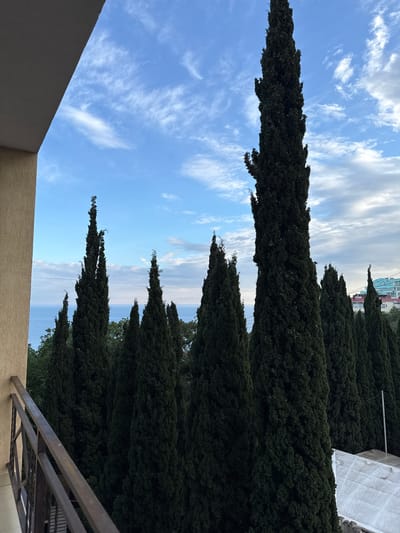 The image shows a view from a balcony. A row of tall, dark green cypress trees rises towards a sky filled with wispy, white clouds on a blue background. In the distance, the tops of buildings can be seen. The balcony has a beige wall and a dark metal railing. The location is in the city of Кореизский поселковый совет, Ukraine.