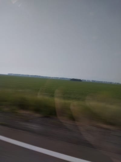 This is a blurry, horizontal, medium-shot photograph taken from a moving vehicle, likely a car or bus. The scene depicts a vast, green agricultural field stretching towards a hazy horizon under a pale, overcast sky. A dark line of trees or buildings is visible in the distance, appearing as a dense shadow against the lighter sky. In the foreground, a portion of a dark asphalt road with a white line marking is visible, also blurred due to motion. The overall impression is one of a rural landscape viewed in transit. The image is devoid of any human presence or specific identifiable landmarks that would pinpoint its location to Sychevka, Russia.