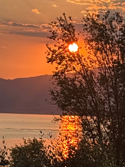 This image captures a sunset over Lake Garda, Italy. The sun, a bright orb, is partially obscured by the branches of a large tree in the foreground, casting a warm, orange glow across the sky. The sky is filled with soft, wispy clouds tinged with pink and orange hues. In the distance, a silhouetted mountain range forms a backdrop to the lake. The surface of the water reflects the vibrant colors of the sunset, creating a shimmering, golden pathway. The foreground is dominated by lush green foliage and the dark branches of the tree, adding depth and texture to the scene.