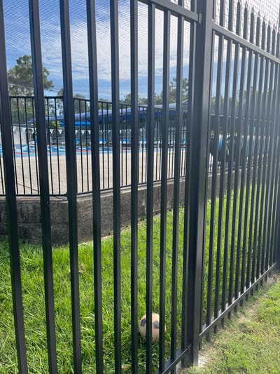 The image, taken in Riverhills, Australia, is composed primarily of a black metal fence with numerous horizontal bars running across the frame. The fence serves as a barrier, separating two distinct areas.

Through the fence on the left side, a swimming pool area is visible. Elements observed include blue lane lines on the pool surface, a concrete surround, and white triangular flags strung on ropes, typical of competitive swimming facilities. Beyond the immediate pool area, glimpses of green trees and a bright blue sky with scattered white clouds are seen, suggesting an outdoor setting. A mesh net or fence is also visible above the horizontal bars, likely part of the pool enclosure.

On the right side of the fence, lush green grass is present. A dirty, worn soccer ball rests on the grass, suggesting it has been used for play.

No people are visible in the image, and no specific activity is currently taking place. The scene appears to be set during daytime, under clear to partly cloudy weather conditions, indicated by the bright illumination and visible sky. There is no discernible text in the image. The presence of a swimming pool, grass, and a soccer ball indicates a recreational or sporting complex environment.