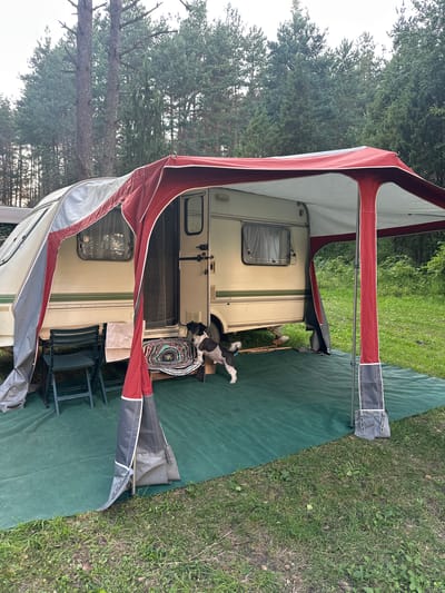 In the village of Plyuski, within the rural council of Plyuski, Belarus, a scene unfolds at a campsite. A beige caravan, partially covered by a red and white awning, is situated on a green tarp laid over grassy ground. The awning is supported by red poles, one of which is visible in the foreground. Two green chairs are folded and placed near the caravan's entrance, beside a small table holding a folded white cloth. A small, black and white dog stands on a colorful rug positioned outside the caravan door. Behind the caravan, tall pine trees form a dense forest, their branches reaching towards a pale sky. The overall impression is of a tranquil, outdoor setting.
