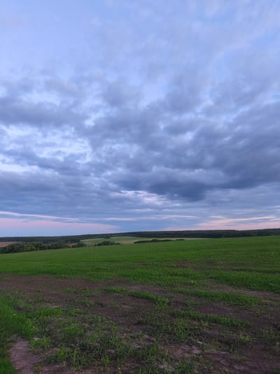 The image depicts a rural landscape under a cloudy sky. In the foreground, a field of dark soil with sparse green vegetation is visible. Beyond this, a larger expanse of lush green grass stretches into the middle ground, with gentle rolling hills. A treeline, consisting of dark green foliage, forms a horizontal band in the distance, separating the fields from the sky. The sky itself is filled with a layer of gray and bluish-white clouds, with a hint of pale pink and lavender near the horizon, suggesting either dawn or dusk. The scene is devoid of any human presence or structures, conveying a sense of natural tranquility and open space.