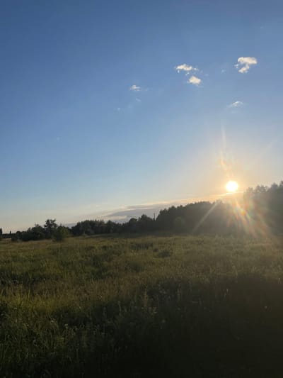 An eye-level, full shot captures a sunlit meadow in Shkyli, Ukraine, as the sun descends behind a line of trees on the horizon. The sky, a pale blue, is sparsely dotted with small, wispy white clouds. The sun, a bright orb with a visible lens flare, is positioned in the upper right quadrant of the image, casting long rays across the scene. The meadow in the foreground is filled with tall, green and brown grasses, with some areas darker and more shadowed than others. The trees bordering the field are silhouetted against the bright sky, their foliage dense and dark. The overall impression is one of a peaceful, natural landscape at dusk.