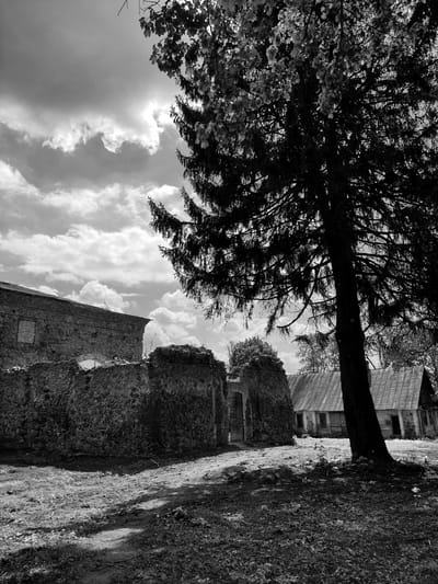 The image is a grayscale, slightly tilted view of an exterior scene. In the foreground, a large tree with dense foliage dominates the left side of the frame, its branches obscuring the sky. To the right of the tree, the remnants of a stone structure, possibly ruins, are visible, with walls that appear aged and textured. Beyond the ruins, there is a glimpse of what seems to be a wooden building with a simple design, likely located in the city of Жалудоцкі сельскі Савет, Belarus. The sky above is partially covered with clouds. The ground is covered with vegetation.