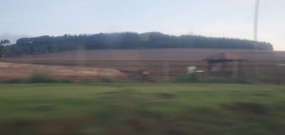 The photo shows a rural landscape, likely taken from a moving vehicle. The foreground features blurred green vegetation, suggesting grass or low-lying plants. Further back, there's a patch of land, potentially a field, with varying shades of brown, indicating different soil types or levels of cultivation. A line of trees is seen in the distance, forming a forest-like border. There is a building with a distinct red roof in the middle ground. The sky is light blue, possibly suggesting early morning or late afternoon lighting. While it is difficult to fully confirm the location to Kisima Ward, Kenya without additional data, the landscape and general aesthetic match common environments found there.