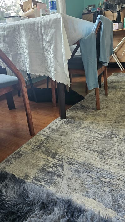 This image depicts an indoor scene, likely a dining area, in Nemėžis, Lithuania. The primary subjects are a wooden dining table draped with a white, patterned tablecloth, and several wooden chairs with blue upholstery. Two chairs are visible from the side, one partially obscuring the other. A black object, possibly a cat or a piece of clothing, is partially visible underneath the table.
A rug with a grey and beige abstract pattern covers a portion of the wooden floor next to the table. The lighting suggests it's daytime, with natural light possibly coming from a window, although the window itself is not clearly visible.
Notable details include a blue bottle with a white label on the table, partially obscured by the tablecloth, and some boxes on a shelf or surface in the background. A fan is also visible in the top left corner of the image. The scene appears to be a casual, domestic setting. There is no indication of any specific event taking place beyond the general use of a dining area. The mood is neutral and everyday. No legible text is clearly discernible on the objects within the frame.