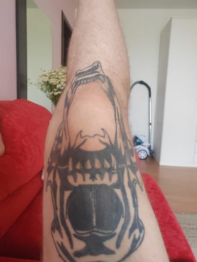 The image shows a close-up of a person's leg with a black and grey tattoo of a snarling creature's head, possibly a wolf or a dog, with its mouth open revealing sharp teeth. The tattoo is the primary subject of the image.
In the background, a blurred scene is visible. To the left, a portion of a red couch is prominent, suggesting the person is seated or leaning on it. Behind the couch, a vase with a bouquet of small white flowers with yellow centers is placed on a surface. Further back, a wall painted in a pale, possibly pinkish, hue is visible, with a doorway or opening revealing a lighter colored wall beyond.
To the right of the leg, a white cabinet or wardrobe stands against a light-colored wall. In front of it, a floor is visible, with a vacuum cleaner standing upright. A small white toy car with blue accents is on the floor near the vacuum cleaner.
The lighting suggests it is daytime, likely indoors with natural light contributing to the illumination. The overall setting appears to be a home environment. No visible text is present in the image. The focus is on the tattoo and the immediate surroundings.