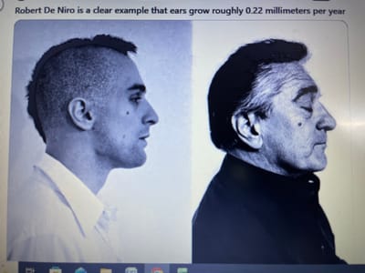 A photograph, captured in Noida, India, displays a computer screen exhibiting a split black-and-white image of actor Robert De Niro. The left side features a younger De Niro in profile, facing right, with a mohawk haircut and wearing a light-colored collared shirt. The right side shows an older De Niro in profile, also facing right, with darker, receding hair, closed eyes, and wearing a dark-colored shirt. A text overlay above the portraits reads, "Robert De Niro is a clear example that ears grow roughly 0.22 millimeters per year." The bottom portion of a Windows taskbar, showing various application icons, is partially visible at the very bottom of the screen.