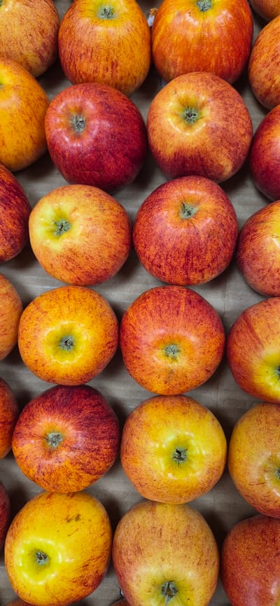 The image is a top-down, close-up view of a large quantity of apples arranged in rows on a brown, textured surface, likely cardboard. The apples are predominantly red and yellow-orange, with some exhibiting a mottled or streaky pattern of these colors. The lighting is even, and the focus is sharp throughout the image, capturing the textures and slight imperfections of the fruit. No people, actions, or interactions are visible. The scene is static and depicts a display of fresh produce. This image is not associated with the city of Navalcarnero, Spain, or any specific urban location.