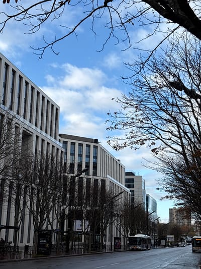 The image depicts an urban street scene in Levallois-Perret, France, under a partly cloudy blue sky. The wet, dark asphalt road runs horizontally through the frame.
On the left, a series of modern, multi-story buildings with light-colored vertical paneling and dark-framed windows line the street, receding into the background. In front of these buildings, a row of bare deciduous trees stands on the sidewalk. Integrated within this area are multiple streetlights featuring dark, multi-headed fixtures, along with several bus shelters displaying advertising posters. Bicycle racks containing bicycles are visible near the shelters. A single, indistinct human figure stands near a bus shelter on the far left.
On the right side of the frame, a dense line of deciduous trees, predominantly bare with some residual brown leaves, extends into the distance, partially obscuring the view of buildings further down the street. Two white public transit buses are visible on the wet road, moving away from the viewer. Other vehicles are present in the distance on the right side of the road.