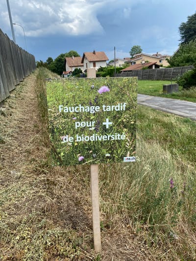 The image shows a sign reading "Fauchage tardif pour de biodiversité" (Late mowing for biodiversity) in the foreground, situated in a grassy area beside a sidewalk. The sign is mounted on a wooden stake. The background features residential houses, a wooden fence, and a partly cloudy sky. The photo was taken outdoors during daylight hours. The location is likely within the city of Boudry, Switzerland, based on the sign's domain name.