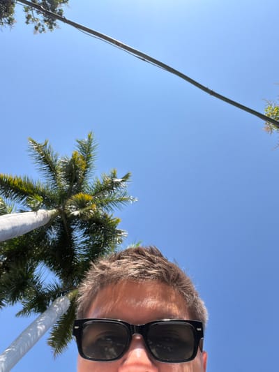 A low-angle shot under a clear blue sky features a person with short gray hair and black sunglasses. The perspective looks upward towards power lines and palm trees. The palm trees have green fronds and pale trunks. The sun's brightness creates lens flare in the left corner. The individual's face is partially visible on the right side.