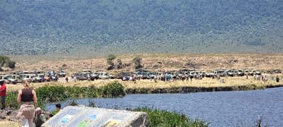 The scene is set in Ilturot Lorkereyan, Tanzania, depicting a large gathering of people and vehicles within a natural landscape. In the immediate foreground, a body of water occupies the lower half of the frame, bordered by green aquatic vegetation. A light-colored interpretive sign with visible graphics is partially seen on the lower right. Several individuals are positioned near the water's edge; a woman with light-colored hair, wearing a dark top and light trousers, stands with her back to the viewer, while a man in a red shirt is visible to her left.
Beyond the water, a wide expanse of dry, yellowish-brown terrain is densely populated with numerous safari-style vehicles, predominantly light-colored SUVs, many featuring pop-up roofs. These vehicles are parked in multiple rows, suggesting a designated stop. A substantial group of approximately 50-70 individuals, consistent with tourists, are dispersed among the vehicles and along the edge of the dry land, standing and observing the surroundings. The background features a vast, undulating mountain range covered in dense green foliage, indicating a heavily forested area under clear daylight conditions.