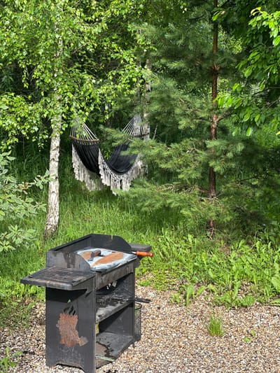 The image depicts an outdoor scene in Znamenka, Russia, characterized by lush greenery and recreational elements. A black hammock with white fringe hangs suspended between two trees, suggesting a space for relaxation. In the foreground, a black metal barbecue grill, showing signs of rust and use, is positioned on a gravel surface. The grill has multiple grates and shelves, with some cooking utensils visible. The background is dominated by dense foliage from deciduous and coniferous trees, interspersed with tall grass, creating a natural, somewhat wild environment. The lighting indicates daytime, likely with scattered sunlight filtering through the leaves. There are no people visible in the image.