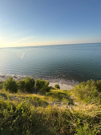 The image depicts a serene coastal landscape under a clear, pale blue sky that transitions to a softer hue near the horizon. A vast expanse of calm, blue water dominates the upper two-thirds of the frame, with subtle ripples indicating a gentle breeze. The water meets a narrow, pebbly shoreline dotted with scattered rocks. Lush green vegetation, including bushes and tall grasses, covers a sloping incline in the foreground, with some areas illuminated by warm sunlight. The scene appears to be a natural, undeveloped coastal area, possibly a park or a wild stretch of coastline, with no immediate signs of urban infrastructure or human activity. Given the description of Primorye, Russia, this could be a view of the coast along the Sea of Japan.