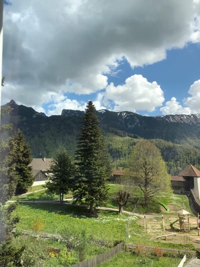 The image captures a vibrant, panoramic view of an alpine valley in Epagny, Switzerland, under a partly cloudy sky. The perspective is from an elevated position, looking down across a verdant landscape towards a mountain range.

In the upper portion of the frame, the sky is a mix of bright blue patches and large, white to light-grey clouds, some fluffy and others more expansive. Below the sky, a majestic mountain range dominates the background. These mountains are largely covered in dense, dark green forest, but their higher elevations reveal distinct patches of snow, indicating a cool climate or the remnants of winter.

The middle ground features a gently sloping valley floor. Several traditional houses with brown tiled roofs are nestled among the greenery. A prominent, tall evergreen tree stands centrally, with other deciduous trees, some just beginning to leaf out with fresh spring green foliage, scattered throughout. A large, bright green grassy area, speckled with small yellow and white wildflowers, extends across the lower half of the image. This area includes a children's playground equipped with a bright green slide, various wooden climbing structures, and a sandpit, suggesting a family-friendly environment. A dirt path winds through the grassy expanse.

The foreground is filled with the dark green foliage of trees, implying the viewpoint is from behind these trees or from a structure overlooking them. No people are visible, lending a peaceful and tranquil atmosphere to the scene. The lighting suggests it is daytime, likely late morning or early afternoon, with clear visibility. No visible text is present in the image.
