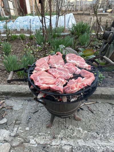 The image displays an outdoor grilling scene located in Bukovlak, Bulgaria. In the foreground, a dark, three-legged cast-iron barbecue grill rests on a cracked grey concrete or asphalt surface. The grill contains glowing embers and partially burned charcoal. A black circular metal grate sits atop the grill, laden with approximately nine to ten cuts of raw or lightly seared pinkish-red meat, consistent with pork steaks. To the left of the grill on the ground, small wooden sticks and debris are scattered. The midground features an unkempt garden area with bare soil, emerging green shoots, and several deciduous shrubs. A line of clear plastic water bottles is arranged vertically in the garden bed, and further back, a low tunnel structure covered in white translucent plastic is visible. The background consists of sparse vegetation and indistinct structural elements, indicative of a residential or garden setting under natural illumination. No individuals are present in the scene.
