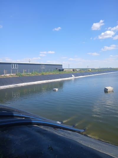 The image shows a large, dark blue pond or reservoir, likely a water storage facility, with a black liner. The water surface is rippled, suggesting a gentle breeze. A white border runs along the edge of the pond, separating it from the surrounding land. On the water, there are a couple of rectangular, white floating objects, possibly buoys or equipment.
Along the far edge of the pond, a long, dark-colored building with white-framed windows is visible. The building appears to be industrial or agricultural in nature. Behind the building, there are utility poles and some greenery.
In the foreground, a black pipe with blue stripes runs along the edge of the pond, partially submerged. The sky above is a clear, bright blue with scattered white, fluffy clouds. The sun appears to be high in the sky, indicating it is likely daytime, possibly midday.
The scene suggests an outdoor, possibly rural or industrial setting. The presence of the pond and the building hints at operations related to water management, agriculture, or aquaculture. The overall impression is one of a functional infrastructure site on a clear, pleasant day. There is no visible text in the image.